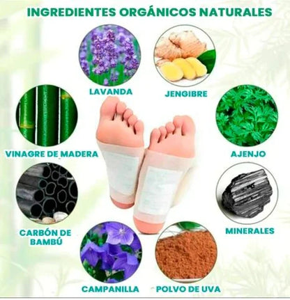 DetoxiFoot Kinoki: Revitaliza tu Cuerpo Mientras Duermes x 10 unds.